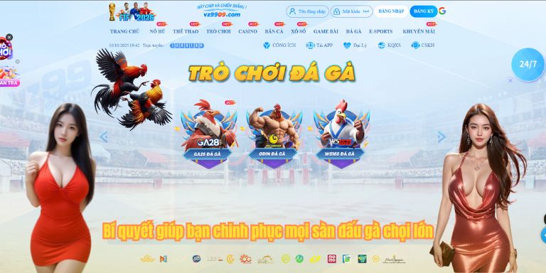 Đá Gà Độ Lớn: Hình Thức, Các Cửa Cược Đơn Giản Khi Chơi 4 Bí quyết giúp bạn chinh phục mọi sàn đấu gà chọi lớn