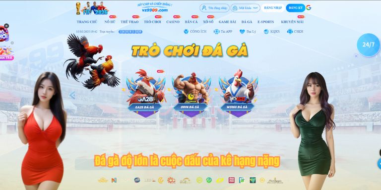 Đá Gà Độ Lớn: Hình Thức, Các Cửa Cược Đơn Giản Khi Chơi 2 Đá gà độ lớn là cuộc đấu của kê hạng nặng