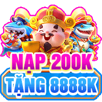 nap 200k 123b